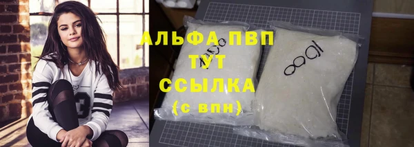 спиды Аркадак