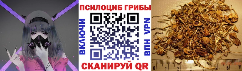Галлюциногенные грибы MAGIC MUSHROOMS  где продают наркотики  Сатка 